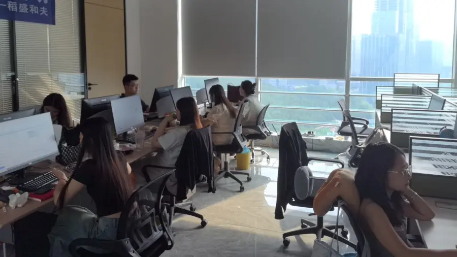 Equipo interno de diseño de BatFlags